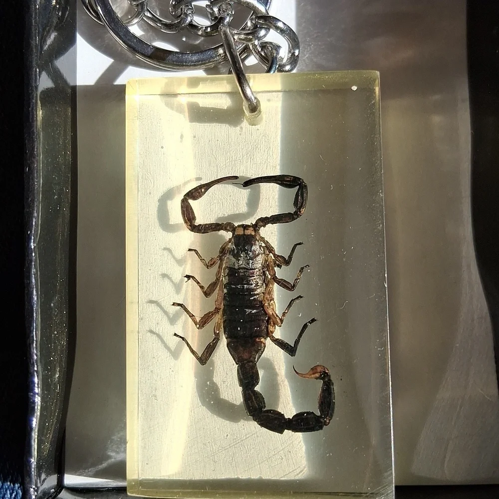 Scorpion Key Ring - Picture 4 of 4